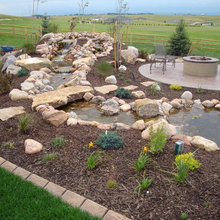 Colorado gardens