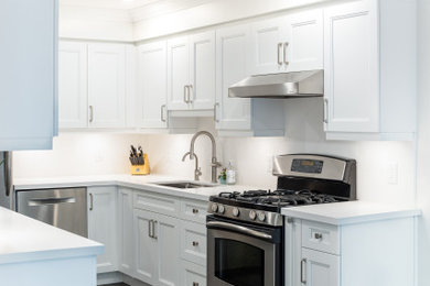 Kitchen - contemporary kitchen idea in Toronto