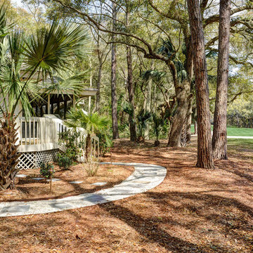 Conifer- Kiawah
