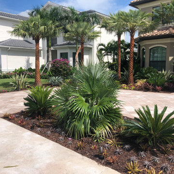 Landscaping with Tropical Color-Palms, Cycads and Bromeliads