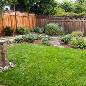 Sunnyvale Low Water & Dog Safe Garden