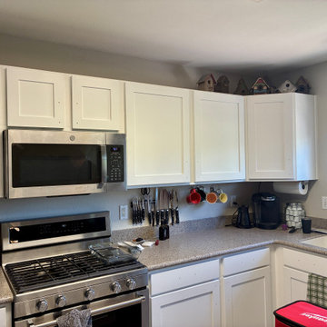 Broomfield, CO Kitchen Replacement Shaker Panel Project
