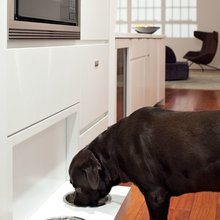 Pet Feeding Station