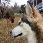 Kelly Grantham's photo