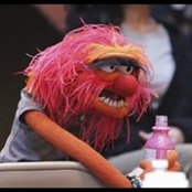Carlos Terrazas's photo