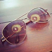 Ricky Labrador's photo