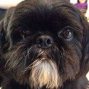Cheryl Rasansky's photo