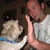 Steve Bellant's photo