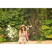 My-Tien Pham's photo