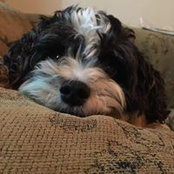 Grace Flello's photo