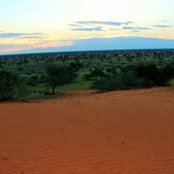 Oli Van Wyk's photo
