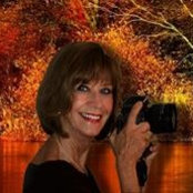 Sharron Callahan's photo