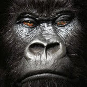 Jeff Smidler's photo