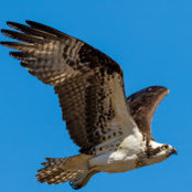 Kenton Gomez's photo