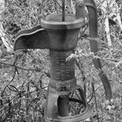 Randy May's photo