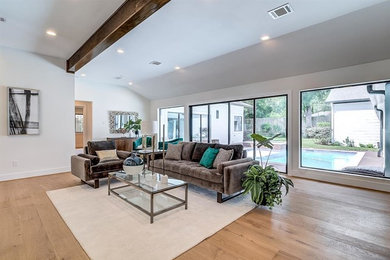 Trendy living room photo in Houston
