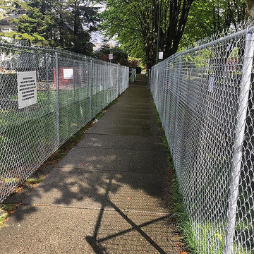 Tree Protection Fence