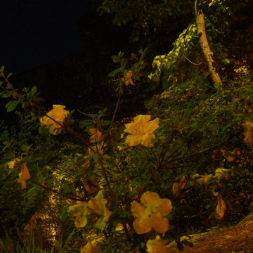 Fairyland Club Illumination - Lookout Mountain, TN