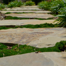 back yard landscaping