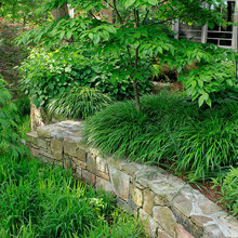 Pond garden