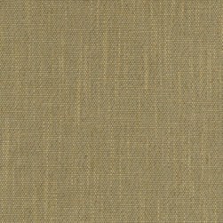 Axiom Driftwood - Upholstery Fabric