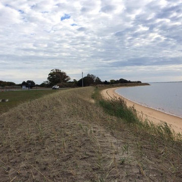 Hurricane Shoreline Repair