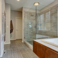 Master Bathroom Shower