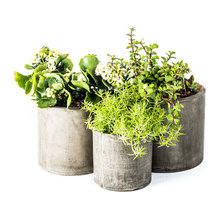 planter pots