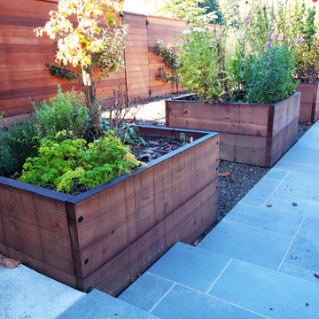 Veggie garden boxes with crushed rock and bluestone paving
