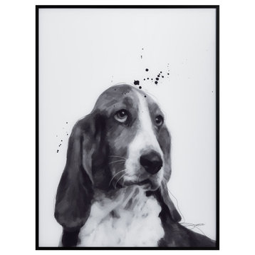 "BasSet Hound" Black & White Pet Paintings on Printed Glass With Anodized Frame