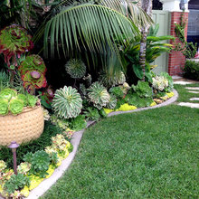 debbie_roon's ideas
