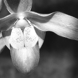 05_Black and White - Home Decor