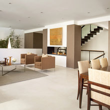 fireplace insert