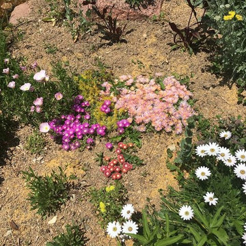 Fun, Flowers, & Food at El Rancho Calypso