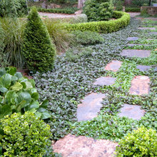 ground covers overflow