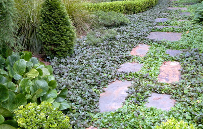 Ground Force: Top 10 Ground Covers for Your Garden