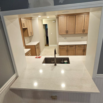 Orland Park Kitchen Remodel 2024