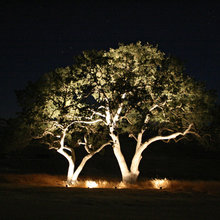 outdoor lighting