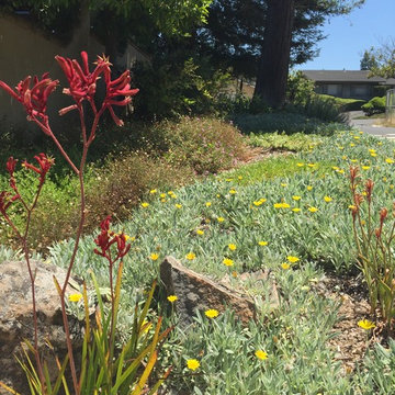 Redwood Garden & Lawn Replacement