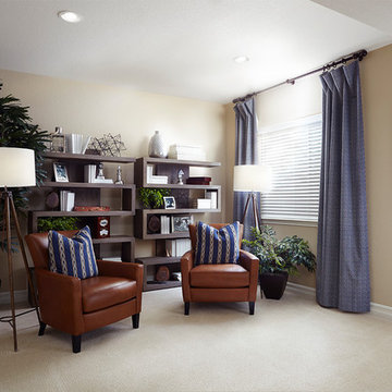Hopewell model home in Colorado