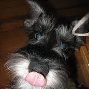 Dan George's photo