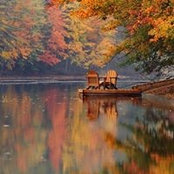 Trang Dang's photo
