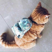 Xiuf Ma's photo