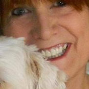 Photo de Kassi Novello