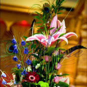 Priya Vekaria's photo