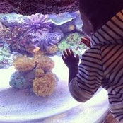 Wendy Nash's photo
