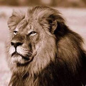 Danielle Hilaire's photo