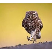 Leon Walker's photo