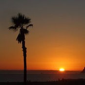 Lorie Martel's photo