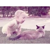 Mike Merri's photo